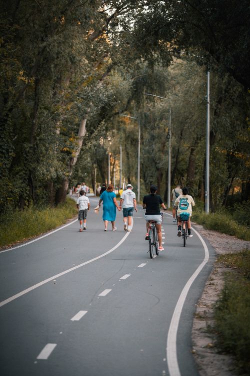 Free A scenic outdoor trail with cyclists and walkers in a lush forest setting. Stock Photo