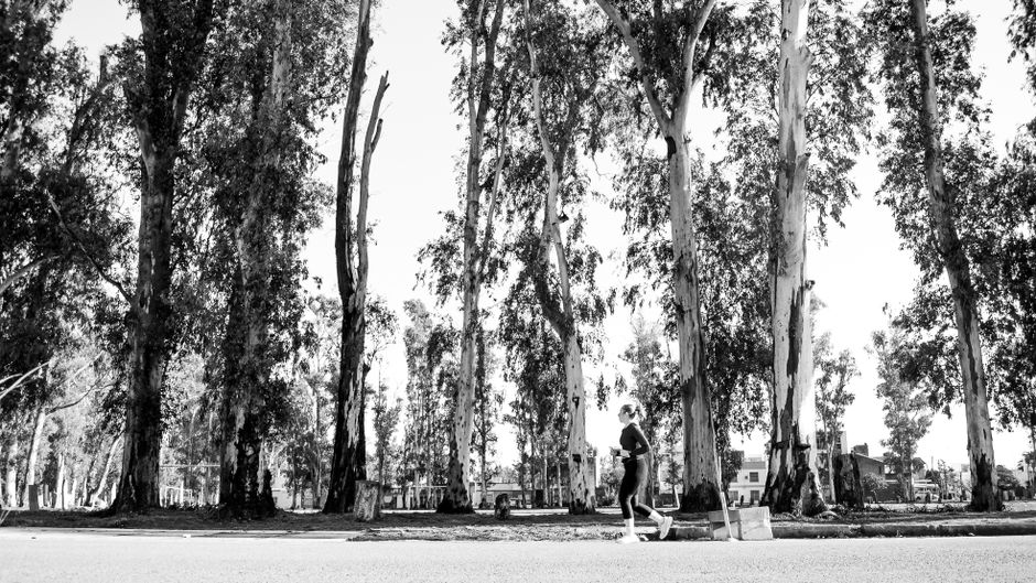 woman jogging sunrise park
