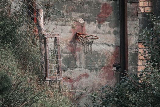 Rusty basketball hoop on a weathered wall surrounded by overgrown plants.