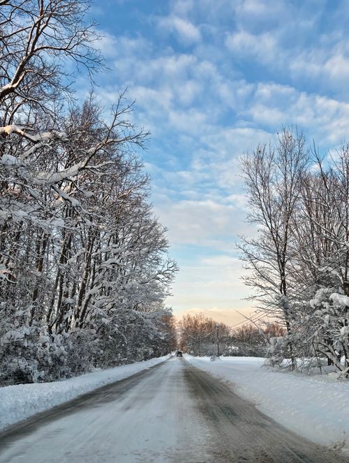 Free A tranquil road lined with snow-covered trees under a blue sky in Ohio during winter. Stock Photo
