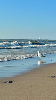 A serene beach scene featuring a seagull near the shore with waves and a distant lighthouse.