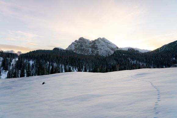 Snow field below a treeline and mountain ridge, photo by Nicola Toscan on Pexels