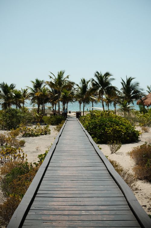 Free Wooden boardwalk leading to a scenic palm-lined beach in Costa Mujeres, México. Stock Photo