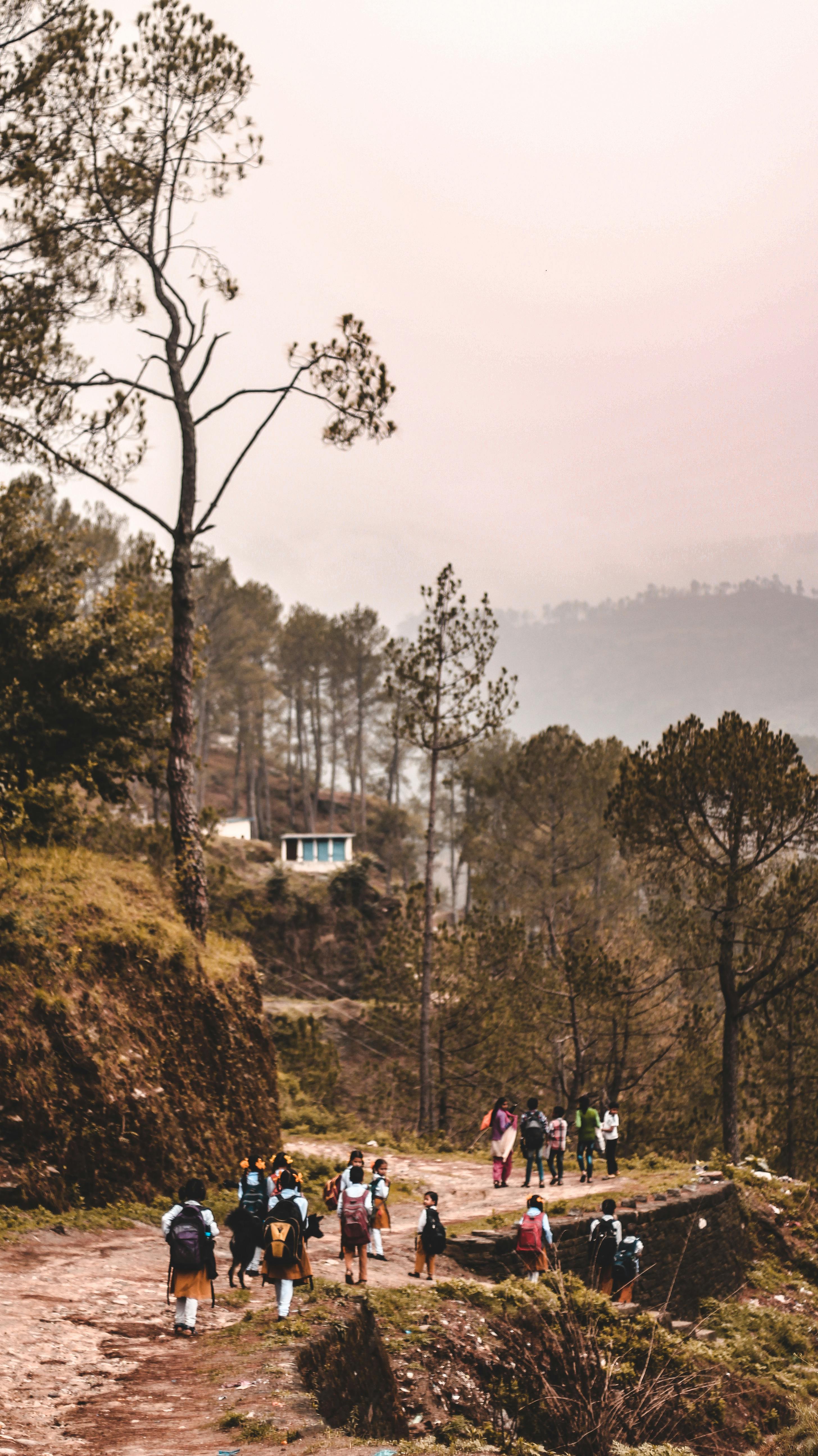 A group of students walking on a scenic unpaved mountain path in a wooded area at dawn.