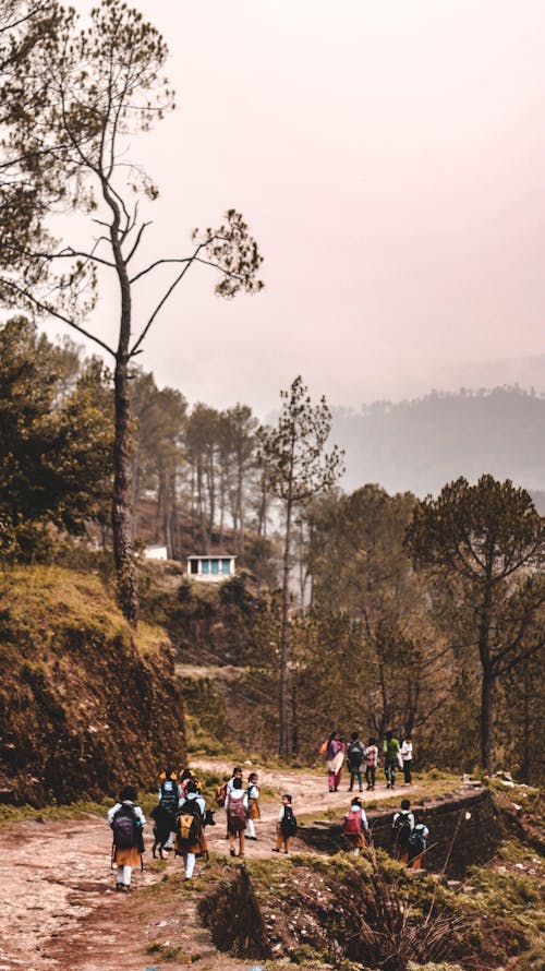 People Walking on Pathway Near Trees