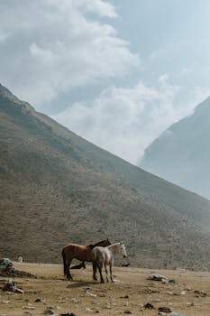 Majestic horses grazing against the backdrop of the Peruvian Andes near Cuzco.