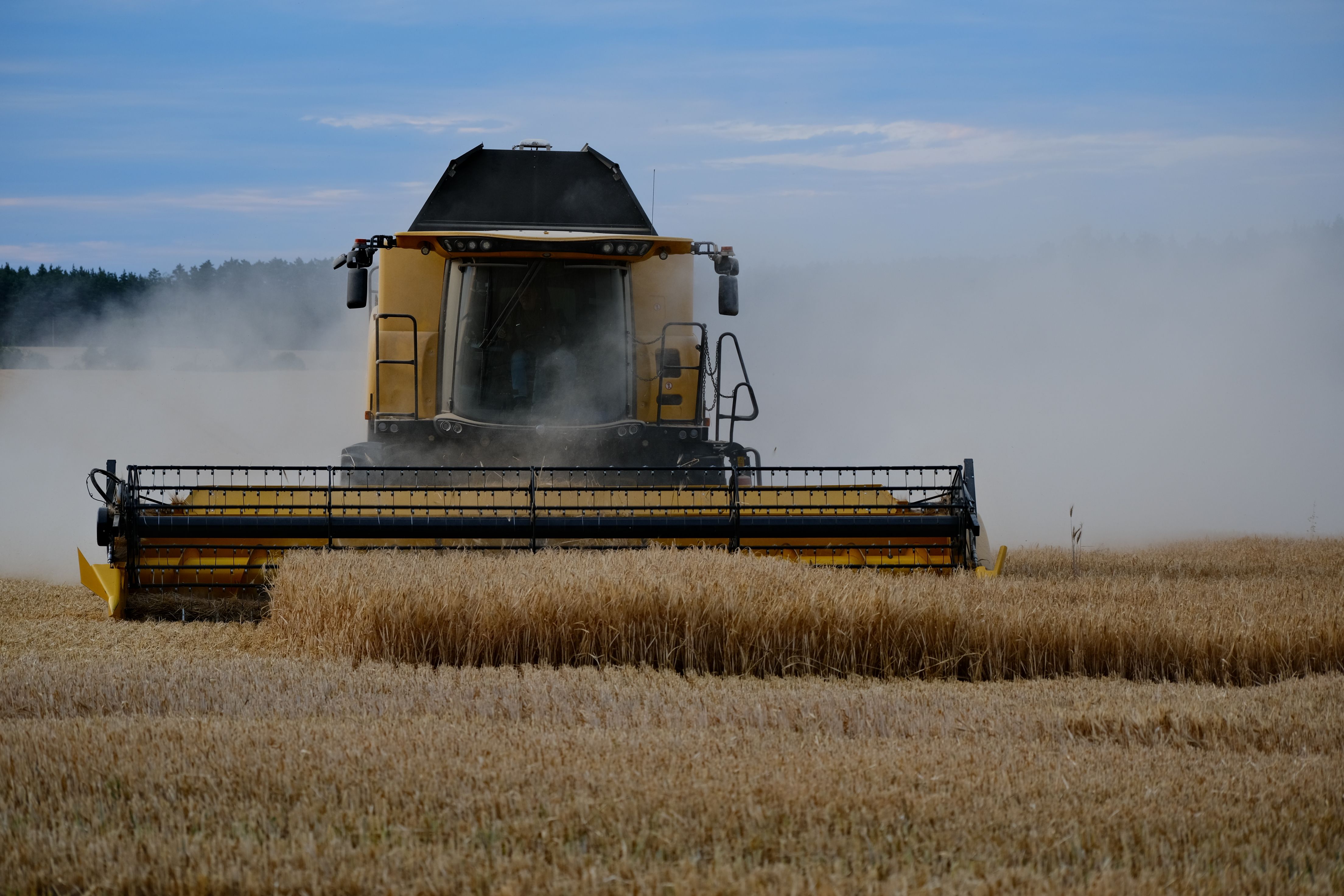 specialty diets specialty diesel services — Photo by Roman Biernacki on Pexels