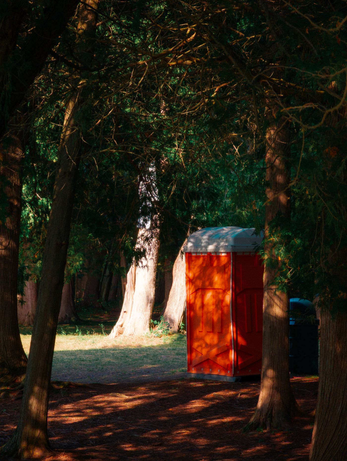 Portable sanitation unit in a sunlit outdoor setting