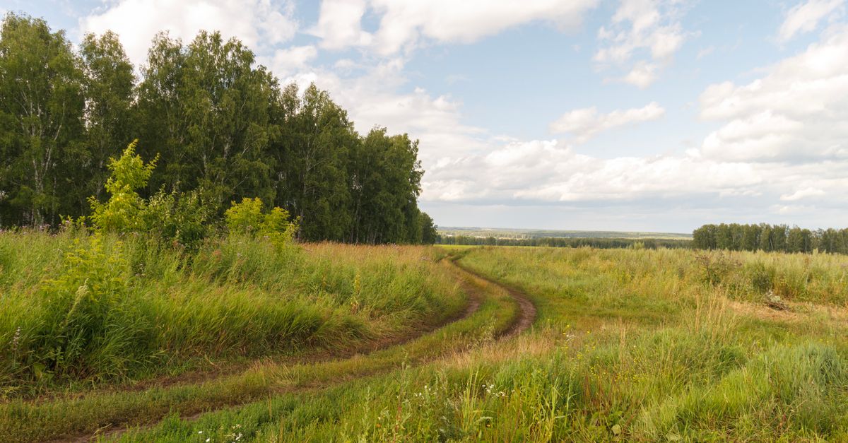 Path Way Field Lush Green Field with Pathway under Blue Sky · Free Stock Photo