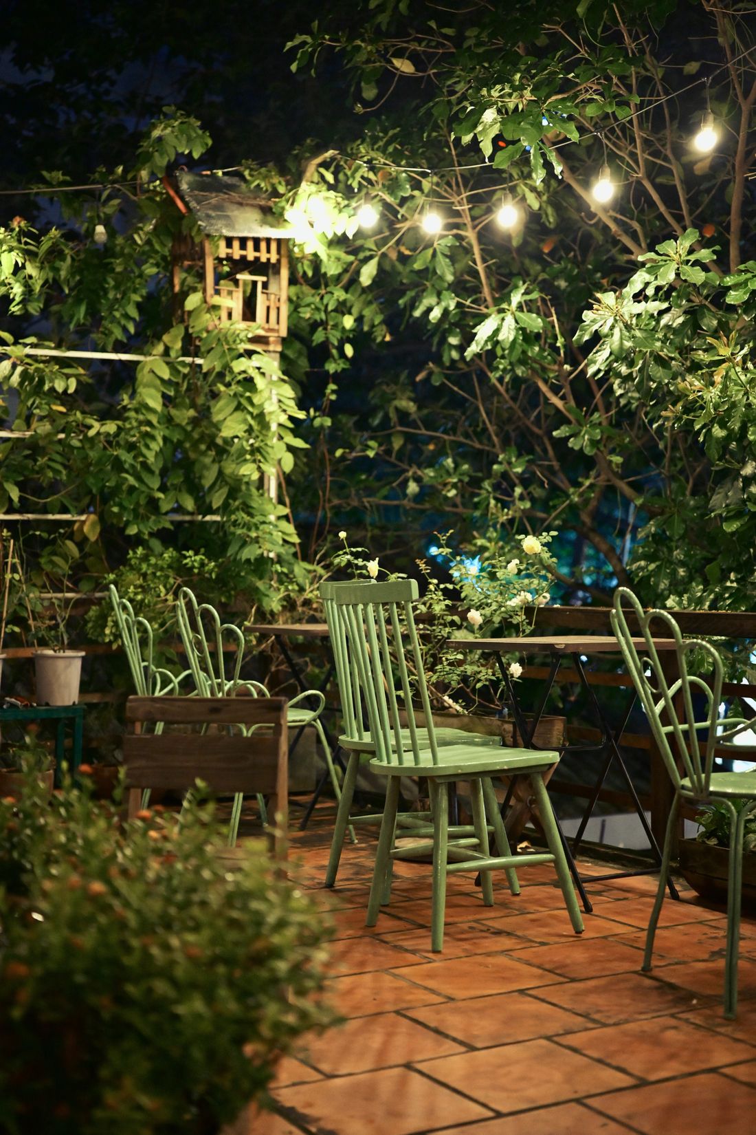 Warm outdoor living lights