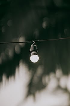 A single hanging light bulb in focus against a blurred background of palm leaves in a black and white setting.
