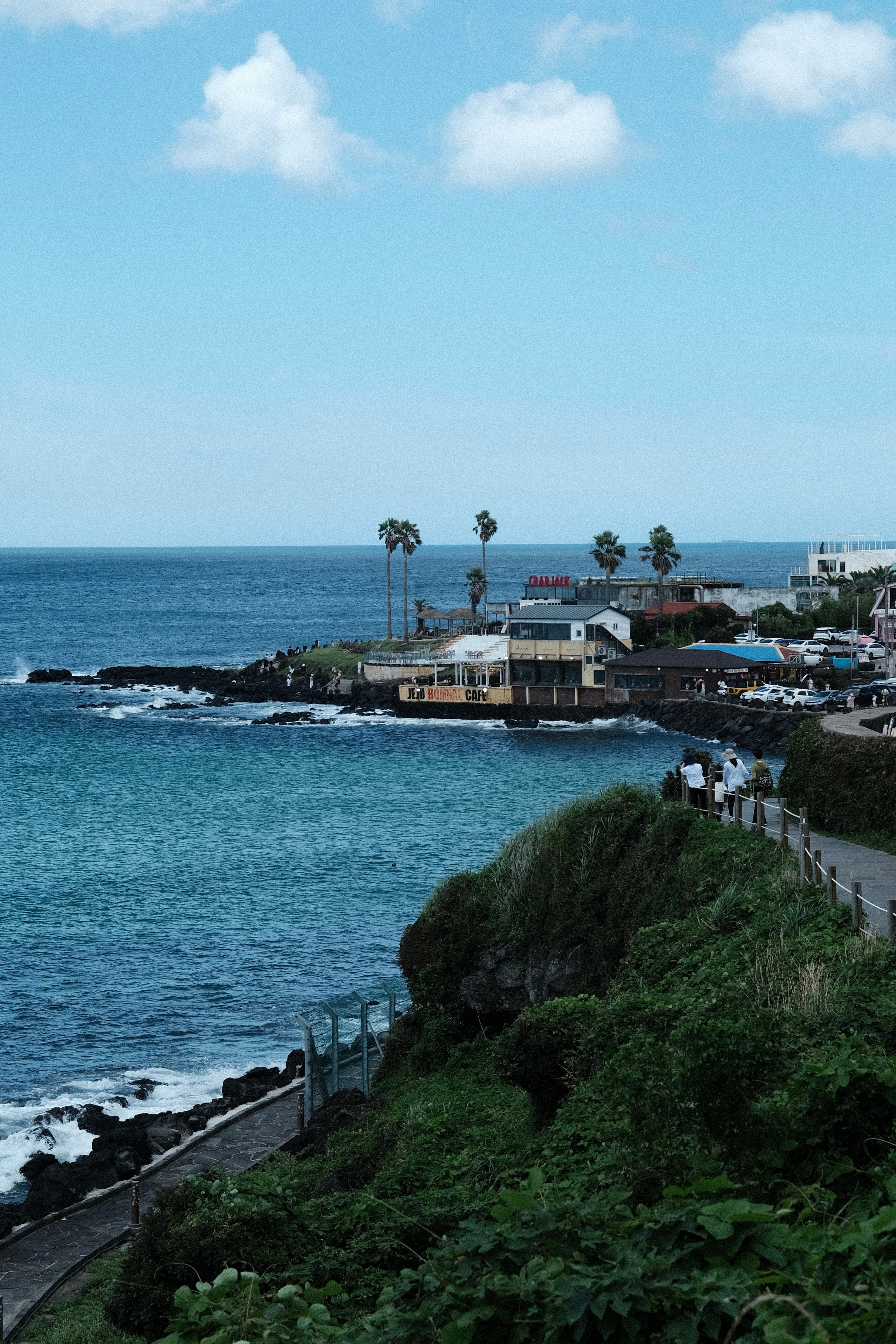 Scenic Coastal Town by the Ocean with Palm Trees · Free Stock Photo