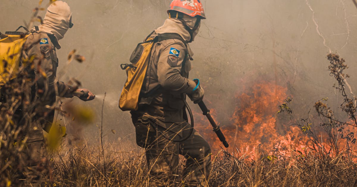 歐洲火燒不停 今年燒毀面積創史上新高 氣候變遷警訊再響起