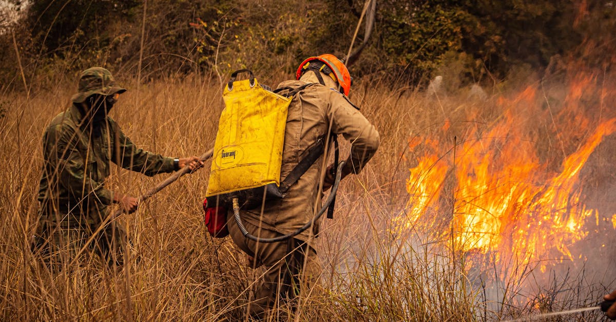 歐洲火燒不停 今年燒毀面積創史上新高 氣候變遷警訊再響起