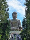 Tian Tan Buddha Statue Amidst Lush Surroundings