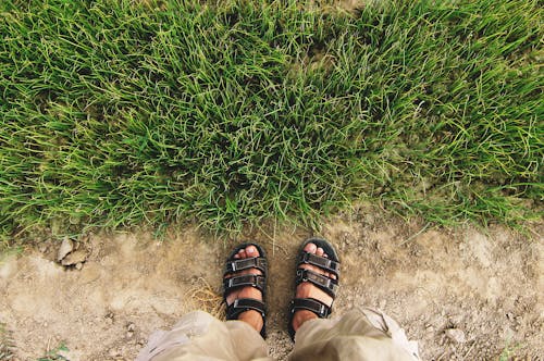 Gratis stockfoto met gezichtspunt, gras, sandalen