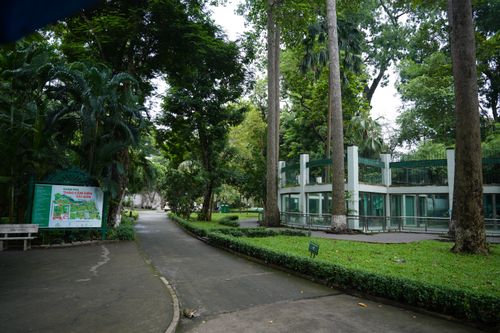 Free A serene path through the lush greenery of Saigon Zoo and Botanical Gardens, capturing nature's beauty. Stock Photo