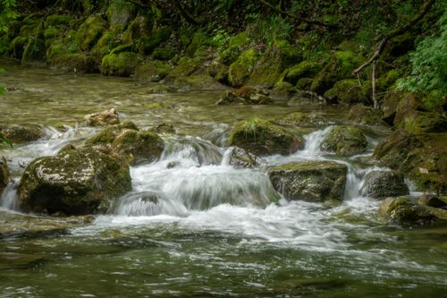 Free A tranquil forest stream flows over moss-covered rocks, creating a peaceful scene. Stock Photo