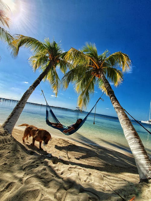 Free stock photo of beach, cancun, caribbean Stock Photo