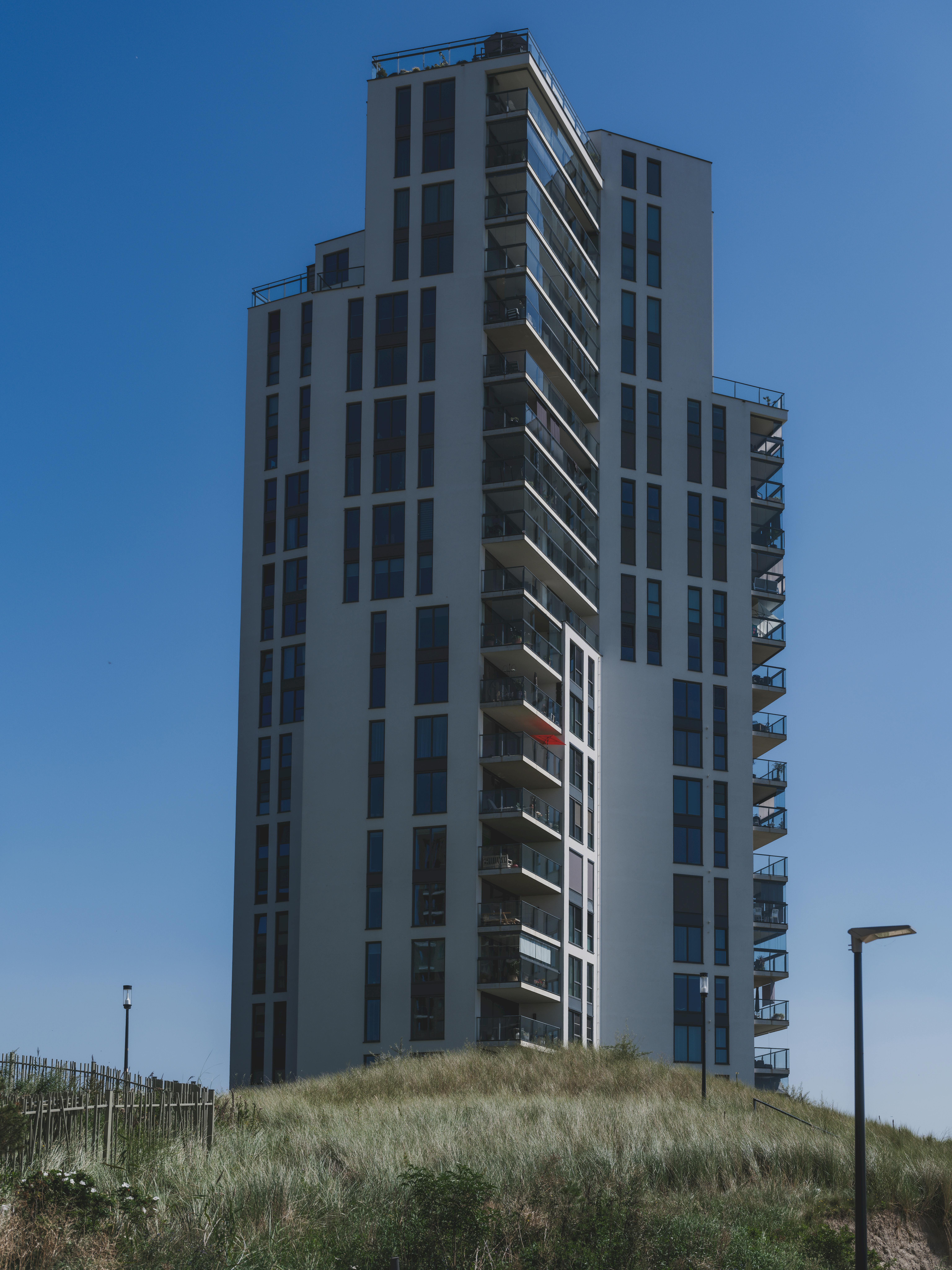 21St Century Networking And Social Dominance