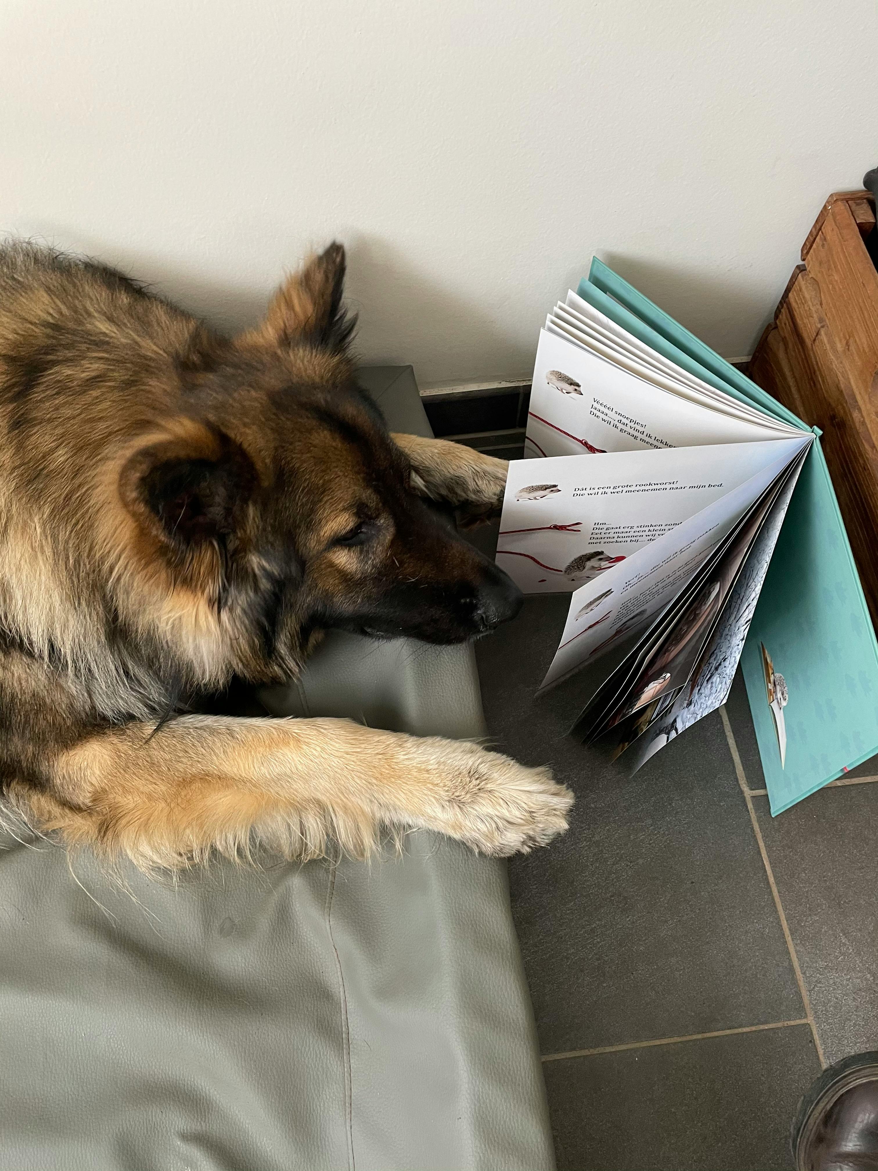 Comment aborder récit de