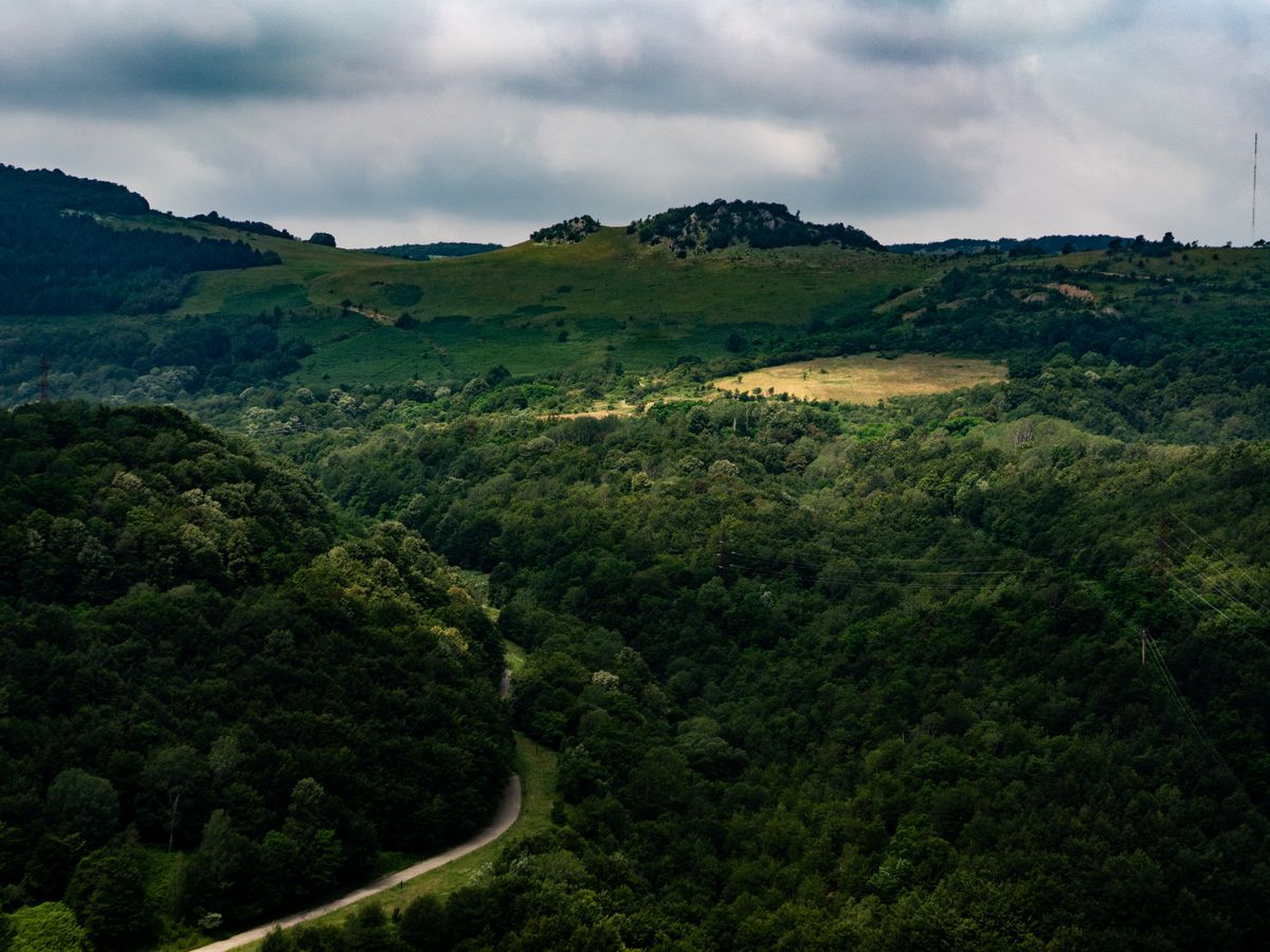6 Day Serene Sleep Recovery Retreat in Oradea, Romania 3