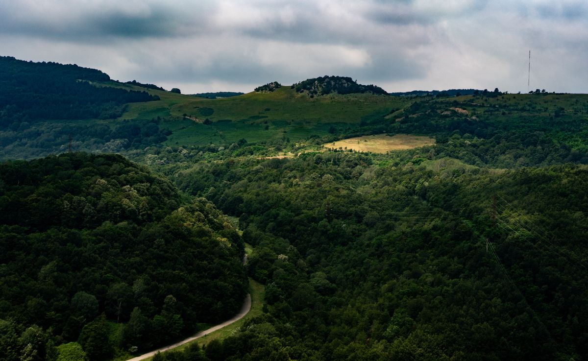 Dealuri verzi intinse cu paduri
