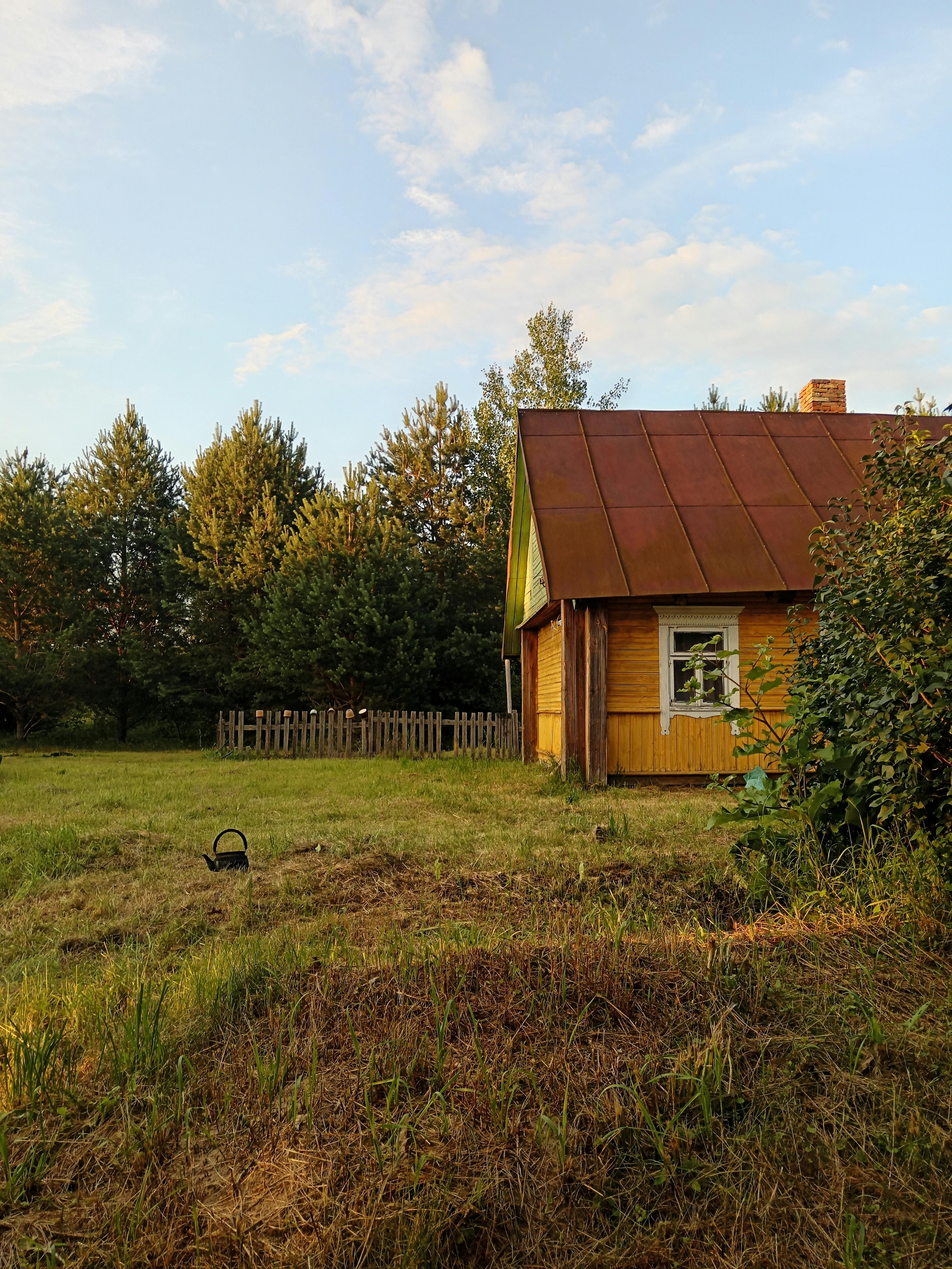Charming wooden cabin with rusty metal roof in a serene rural landscape, surrounded by trees.