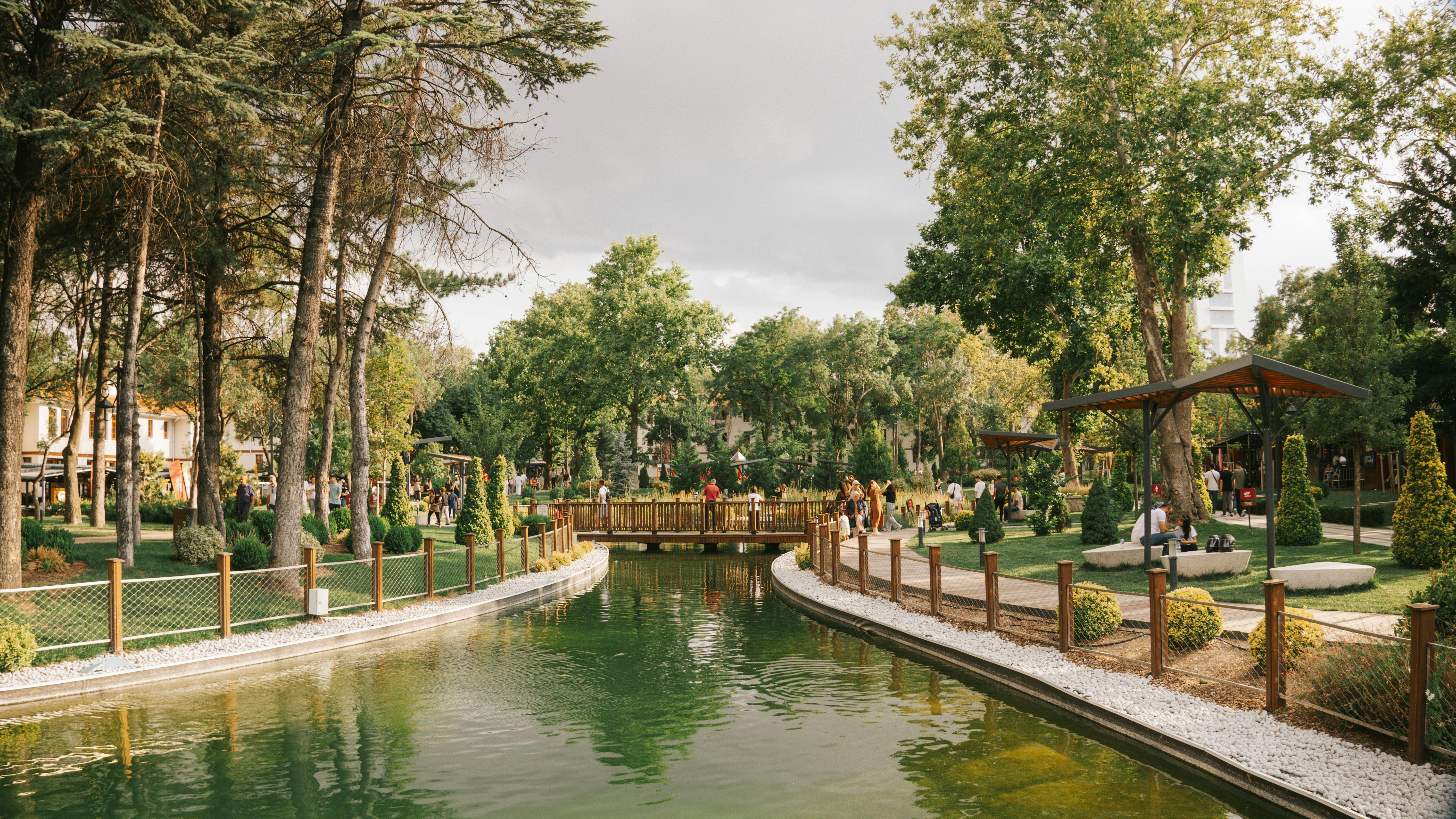 Peaceful park scene featuring a serene pond, a wooden bridge, and lush greenery.