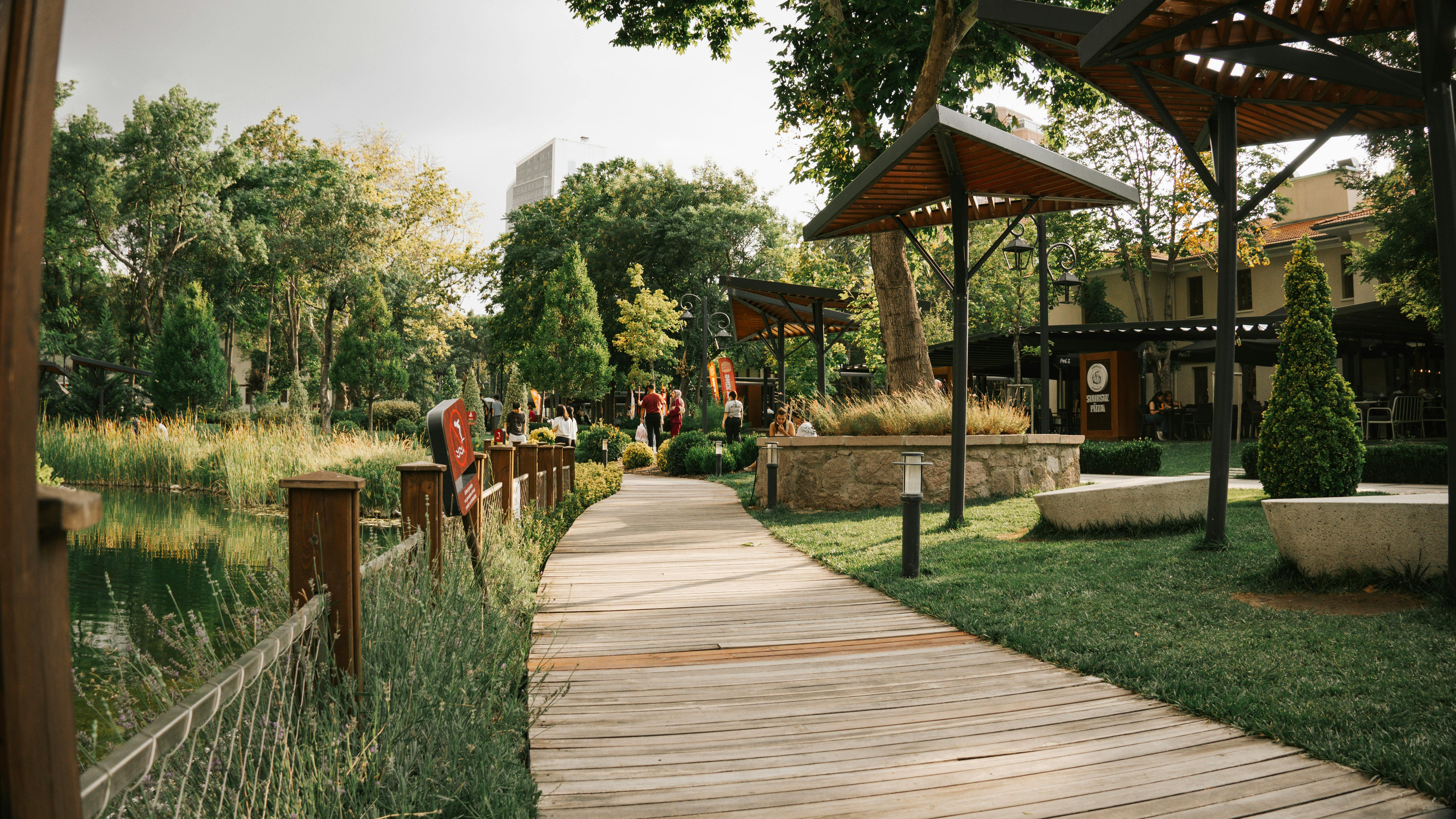 Ridgeland’s eco park, designed for flood control and outdoor recreation, opens — Photo by Ömer Derinyar on Pexels