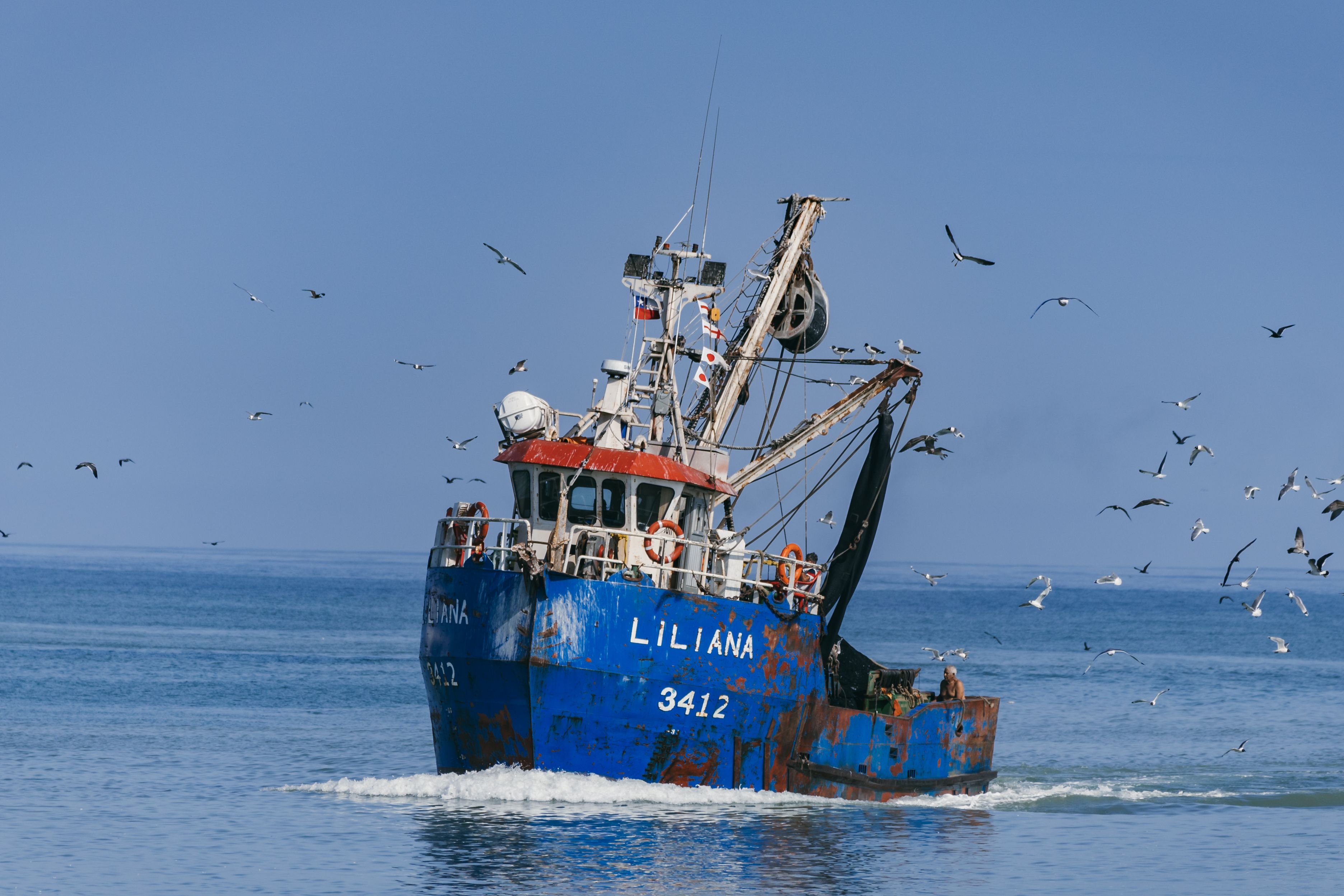 Fishing boat 'Liliana' surrounded by seagulls on the ocean near Arica, Chile, on a clear day.