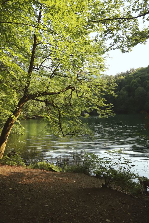 Free Tranquil lake surrounded by lush green forest in Bolu, a perfect nature escape. Stock Photo