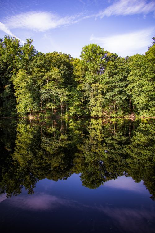 Free Serene forest reflection on a calm lake during a bright summer day, capturing nature's beauty and tranquility. Stock Photo