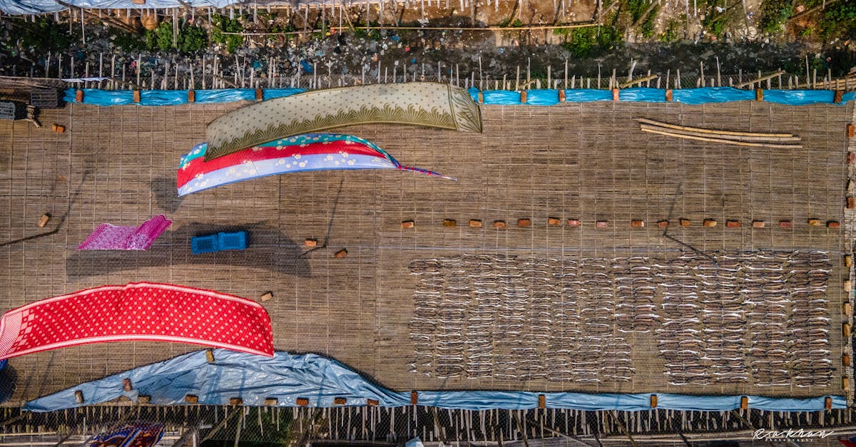 2025國際永續藝術創作論壇 農村水保署攜手竹材創新應用 打造跨域永續新價值