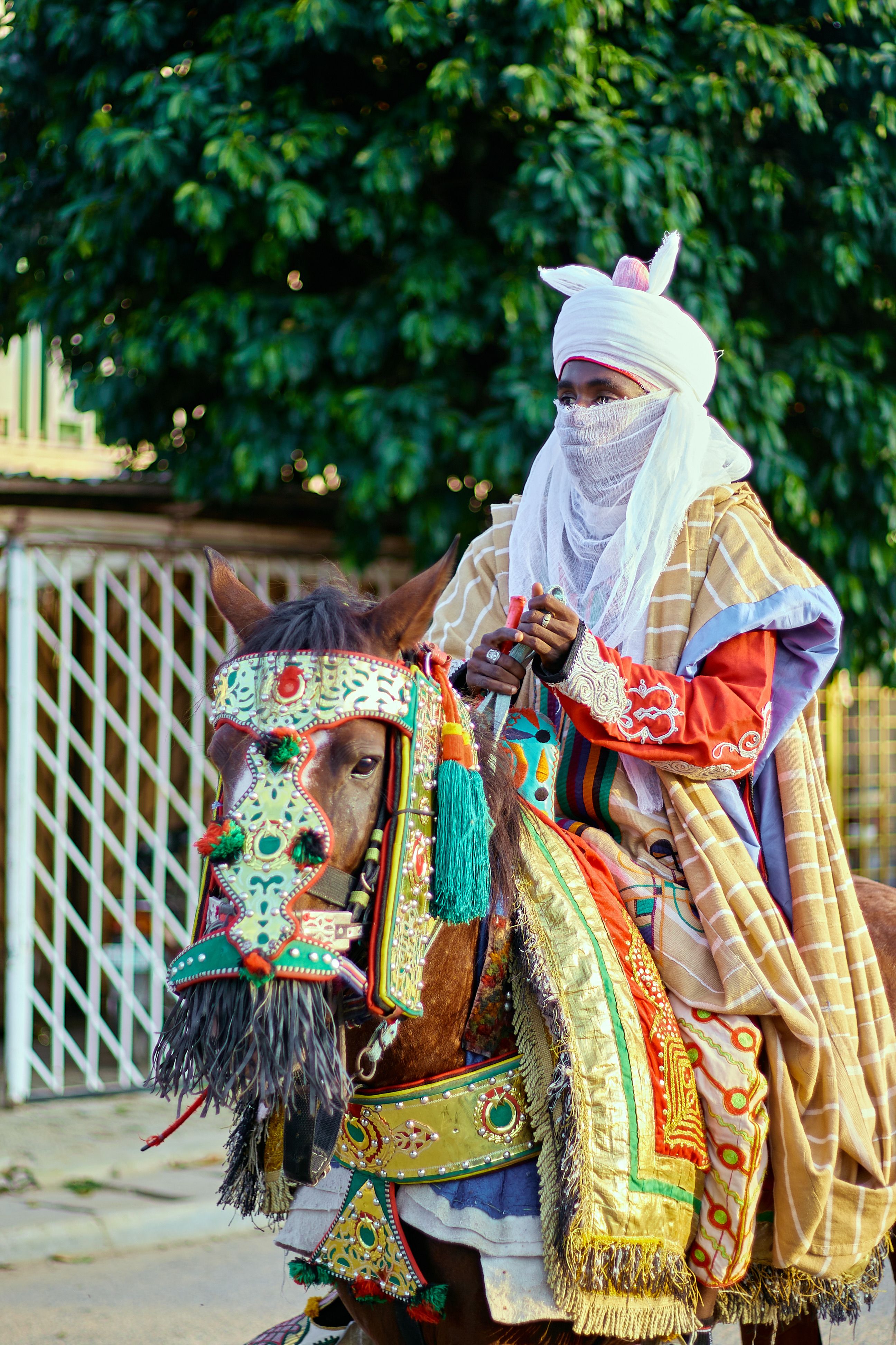 Colorful traditional attire on a horse rider in vibrant setting