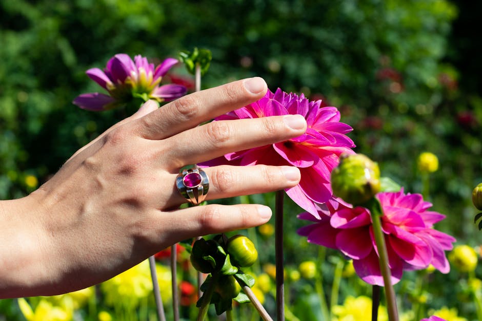 The Jewels of the Gardens: Some Standout Plants The Jewels of the Gardens: Some Standout Plants