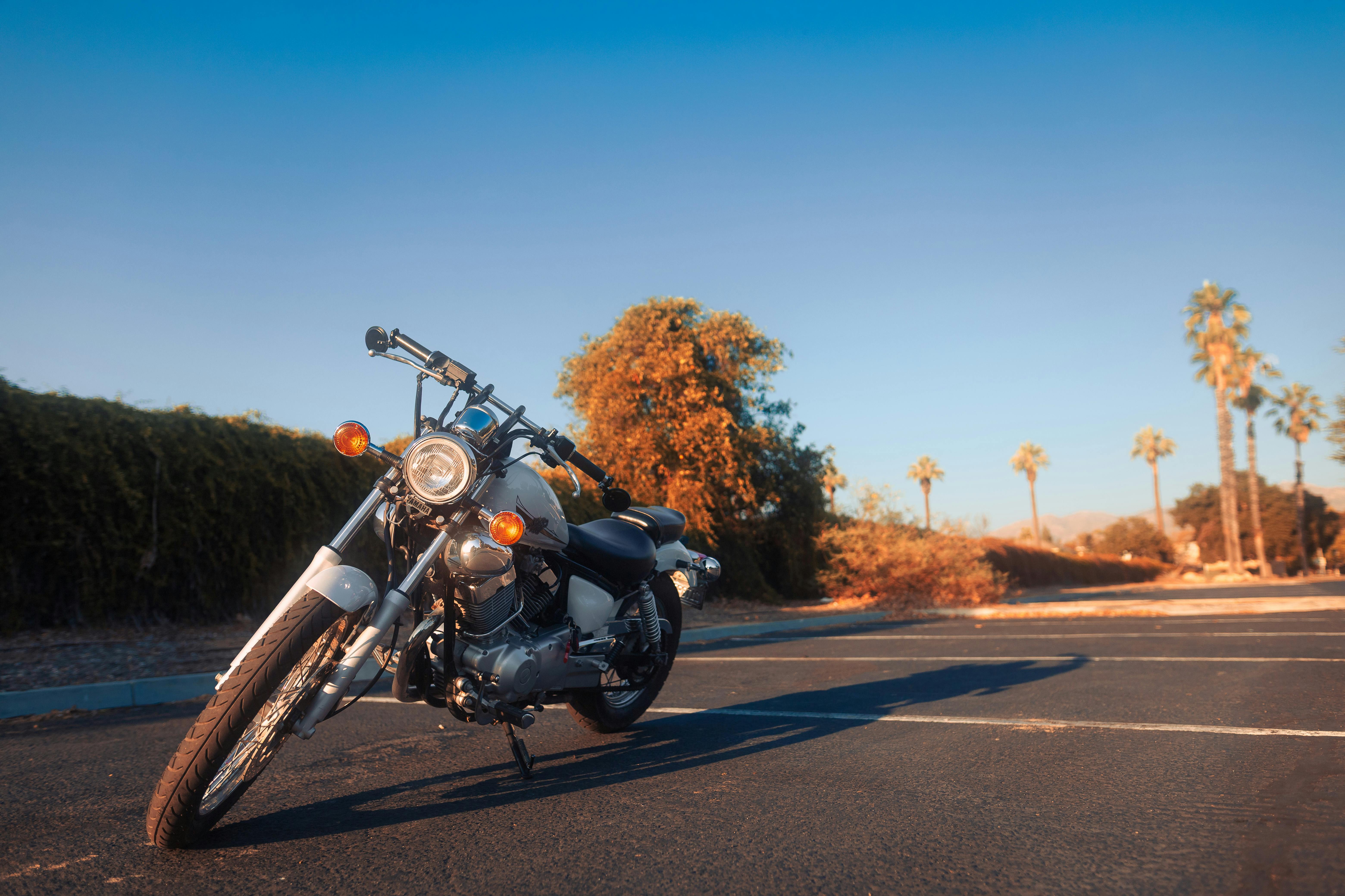 A classic cruiser motorcycle parked against a sunny backdrop with palm trees and clear skies, exuding a vintage vibe.