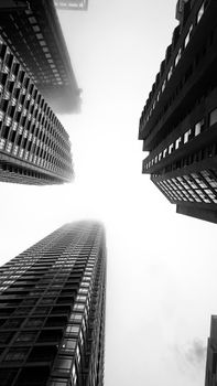 Black and white view of towering skyscrapers from below. Modern architecture.