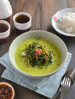 Delicious Indonesian curry gulai pakis served with rice, capturing authentic traditional flavors. - Fotografer Sidoarjo