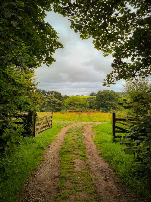 Free Charming pathway through a lush green countryside in Pentewan, England, surrounded by wooden gates and rolling hills. Stock Photo