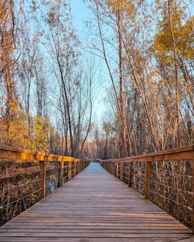 Image by Belu  I Lr Presets & LUTs on presetspix.etsy.com