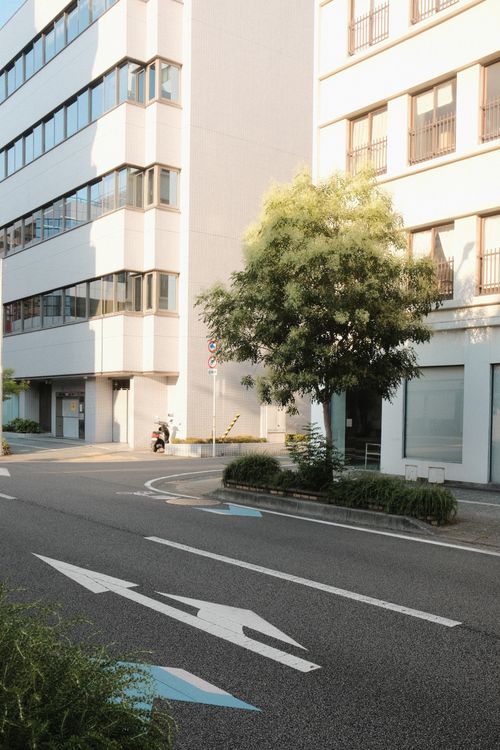 Free Bright urban street scene with modern buildings and a green tree in daylight. Stock Photo