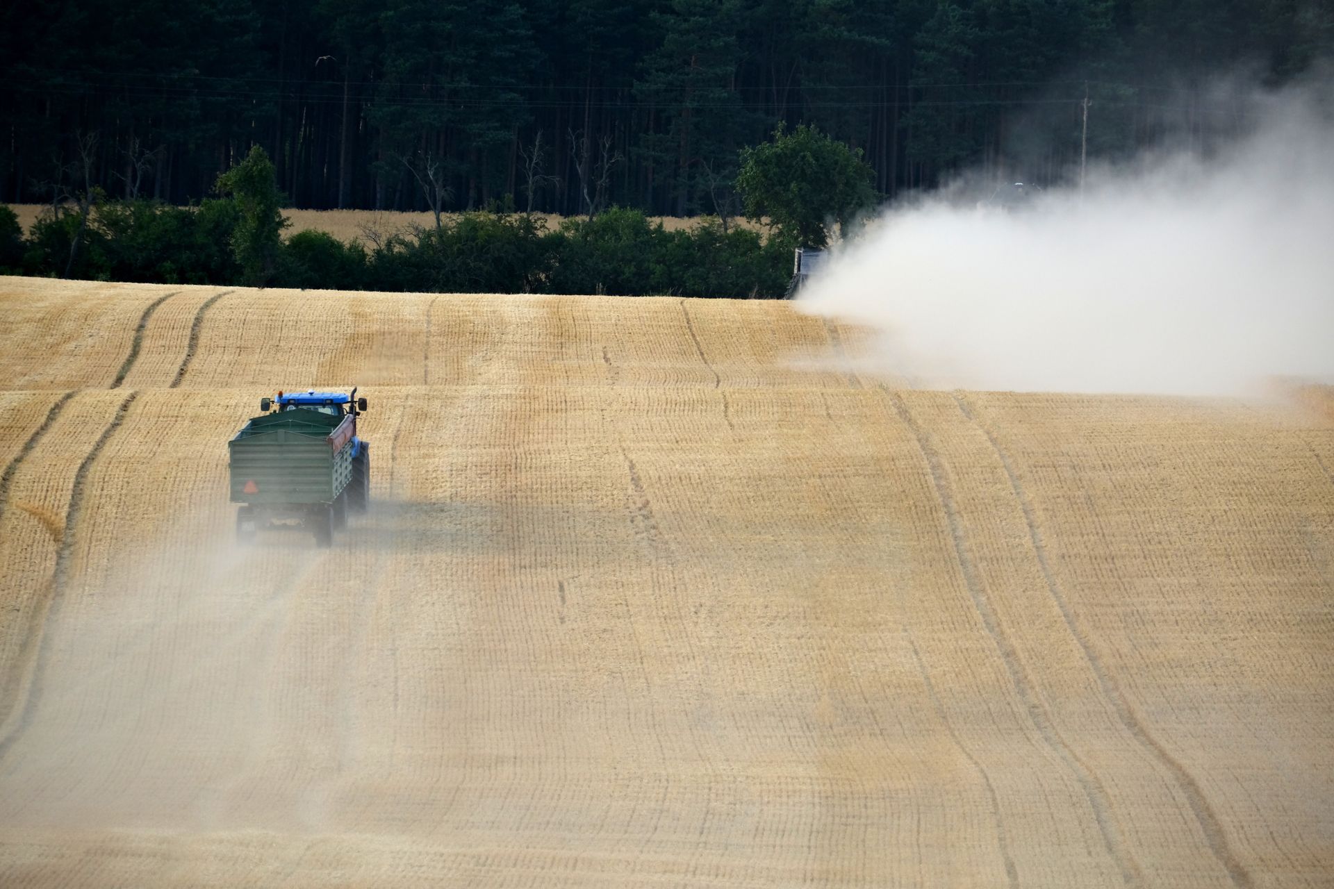 A tractor sprays pesticides on a golden wheat field under a clear sky, creating dust clouds.