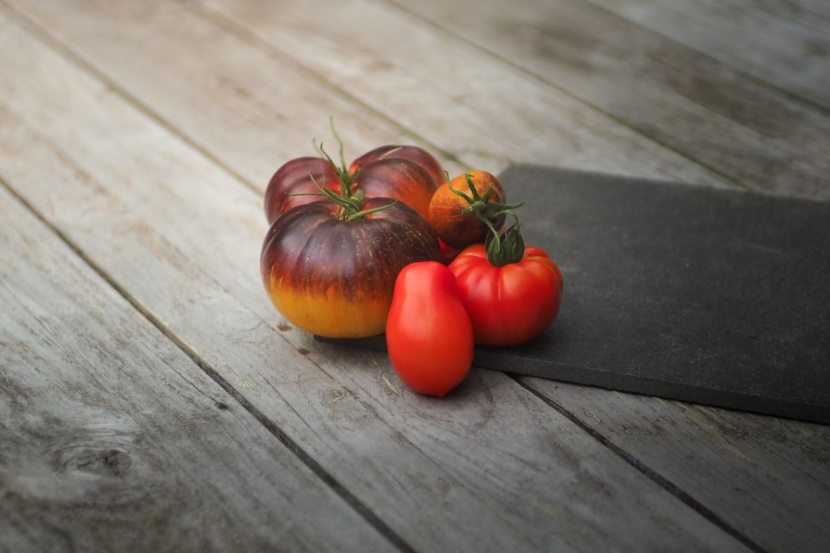 tomates cerise noire de crimée - 3. Préparer l’emplacement et le sol du potager