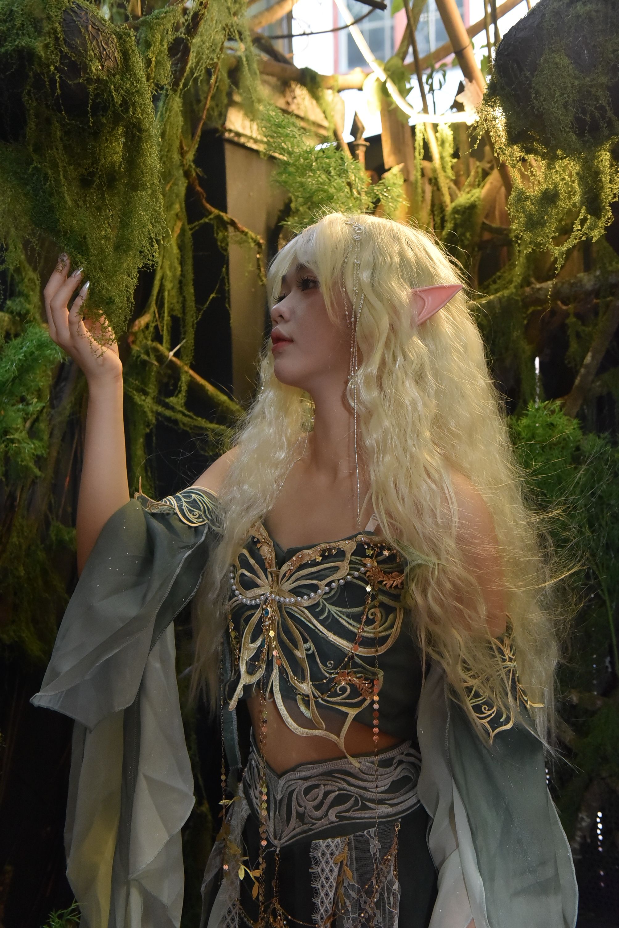 Fantasy Elf Woman in Enchanted Forest · Free Stock Photo