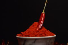 A single chili pepper sits atop a bowl of vibrant red chili powder, surrounded by dried chilies.