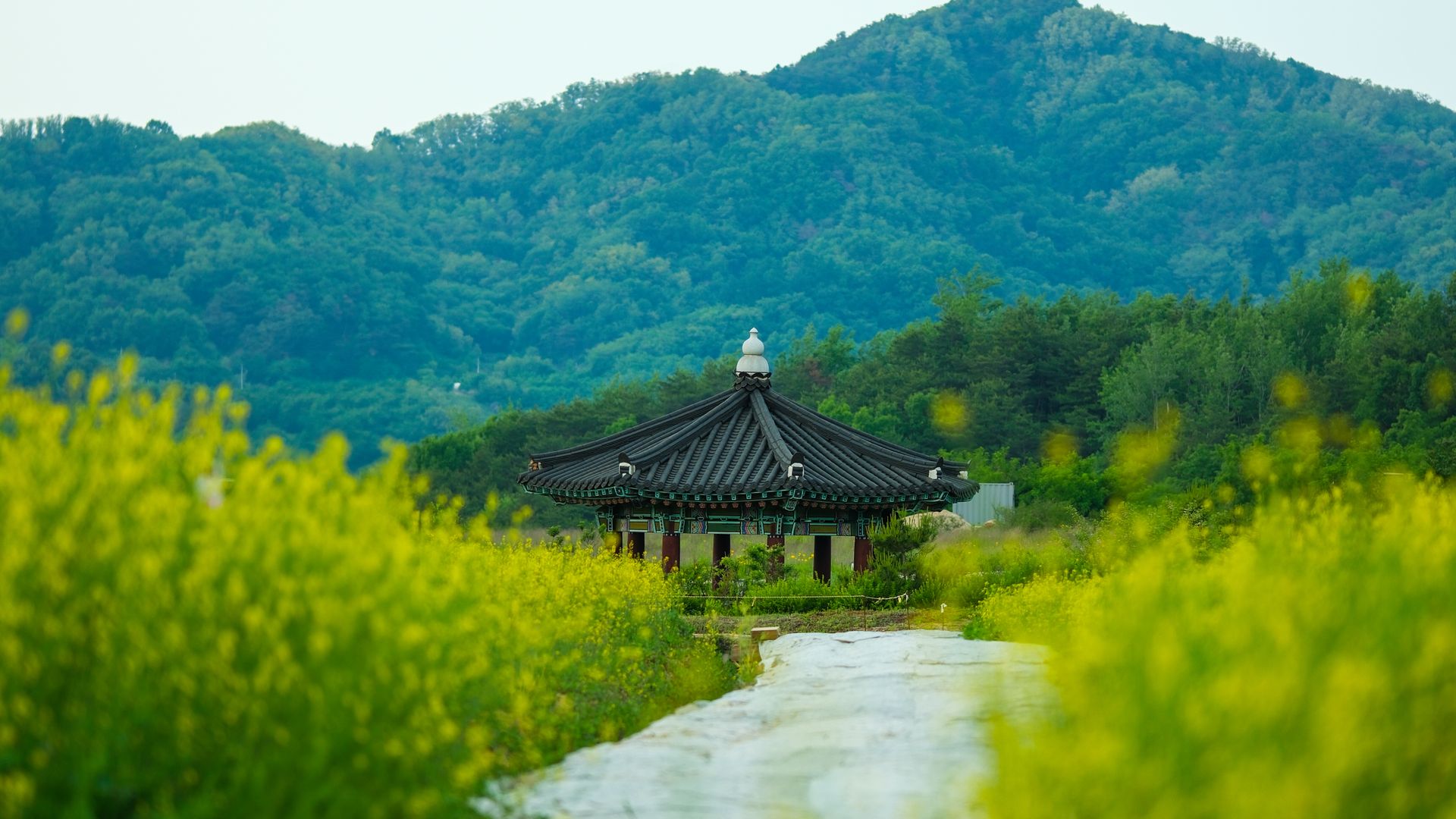 garden of morning calm korea selatan dengan inspirasi taman bunga dan lanskap alam Korea