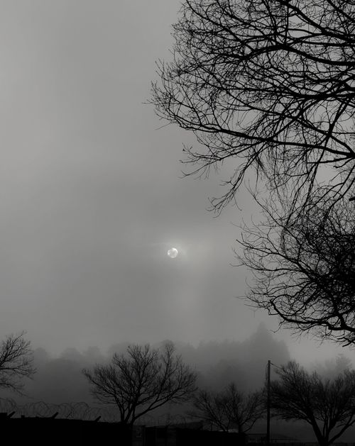 Free Unseen Sun Stock Photo