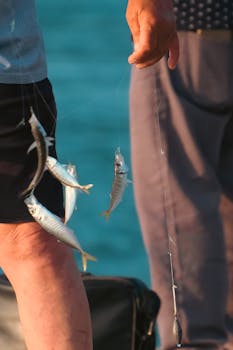 Close-up of a hand holding a fishing line with freshly caught fish by the waterfront.