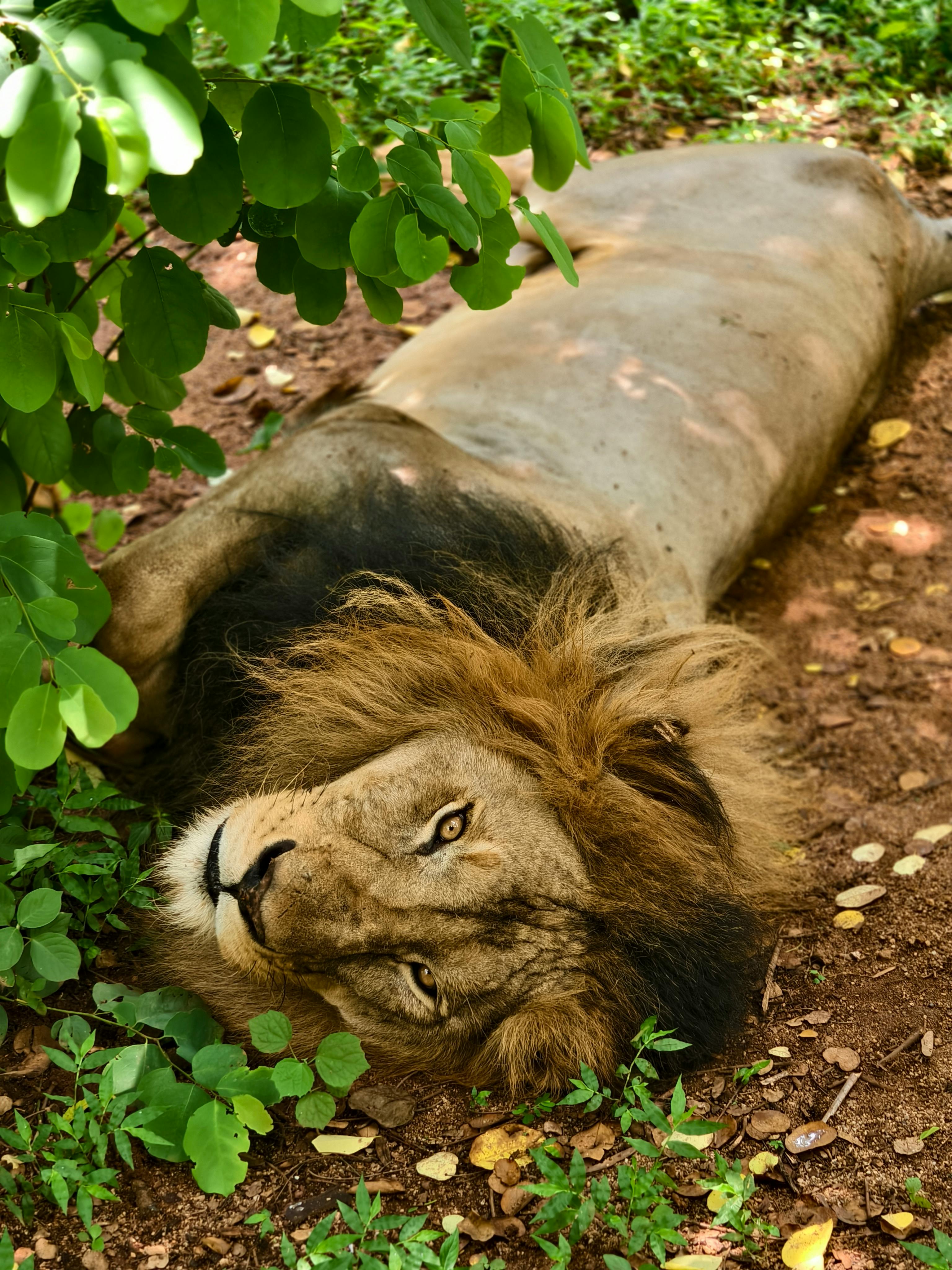 Tận hưởng game bài xích chuyên nghiệp cũng như j88 đăng nhập - Đường đến phần đông giấc mơ chiến chiến hạ